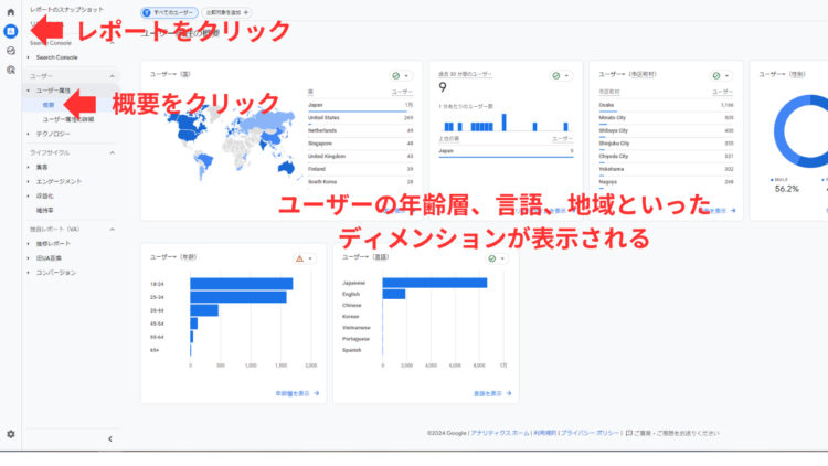 ga4dimentionの項目を表示